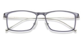 TR Flex Eyeglasses