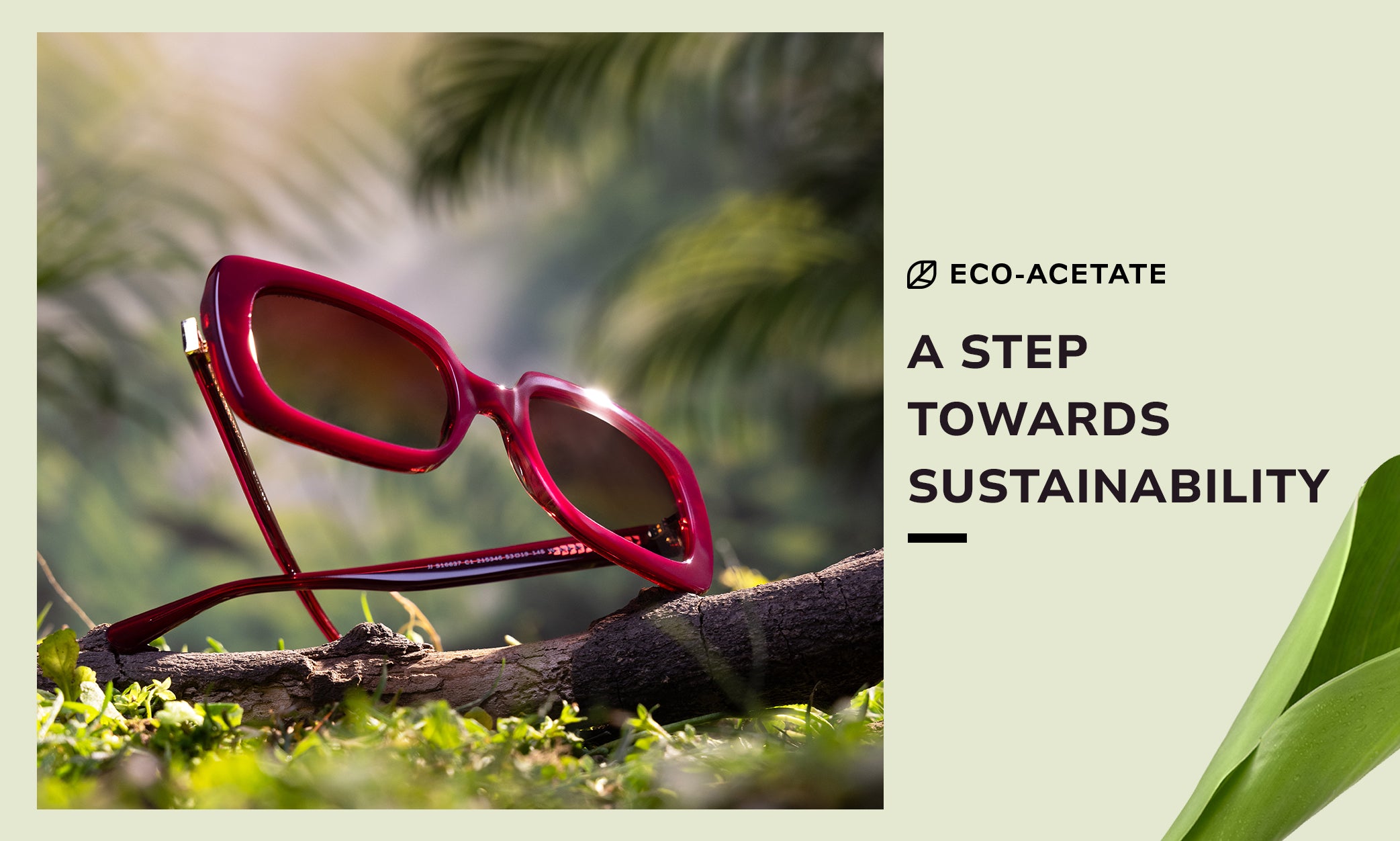 Towards A Greener Future